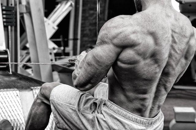 Build a Huge Freaky Back: Best Exercise for Your Back Backed by Science - Infinte Labs