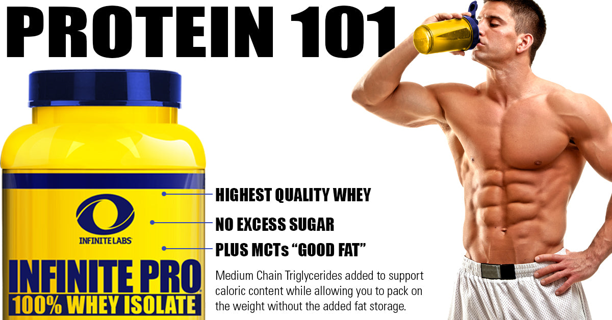 protein 101